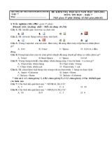 Đề kiểm tra học kì I - Năm học 2015 - 2016 môn Tin học  Khối 7 - Trường TH & THCS Hoàng Hoa Thám